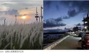 大厂年薪50万，治不好我的精神内耗